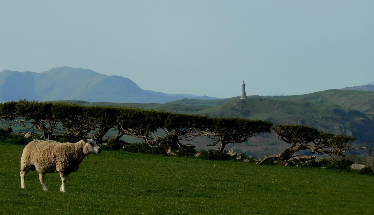 Hoad Monument